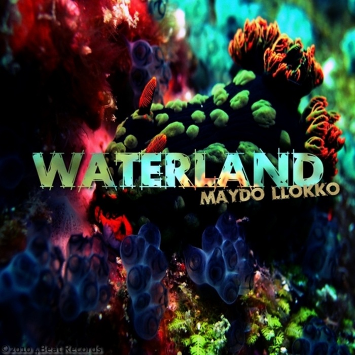 MAYDO LLOKKO - Waterland