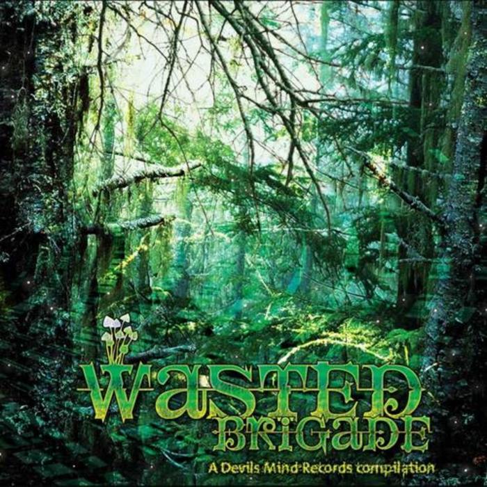 VARIOUS - Wasted Brigade