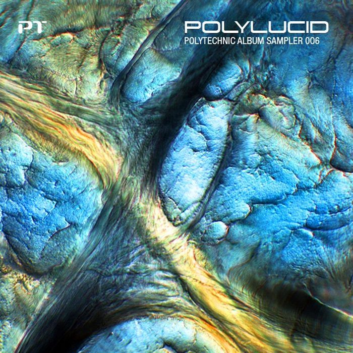 VARIOUS - Polylucid: Polytechnic Album Sampler 006