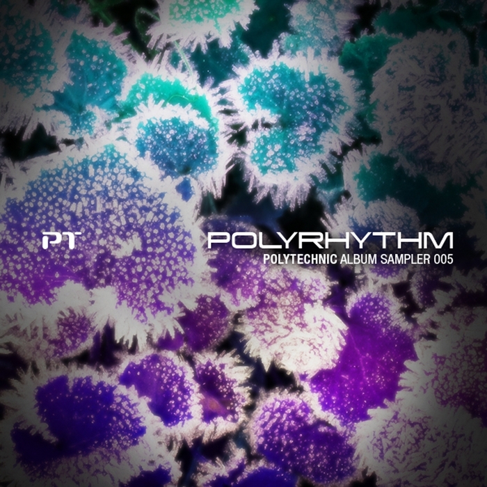 VARIOUS - Polyrhythm: Polytechnic Album Sampler 005