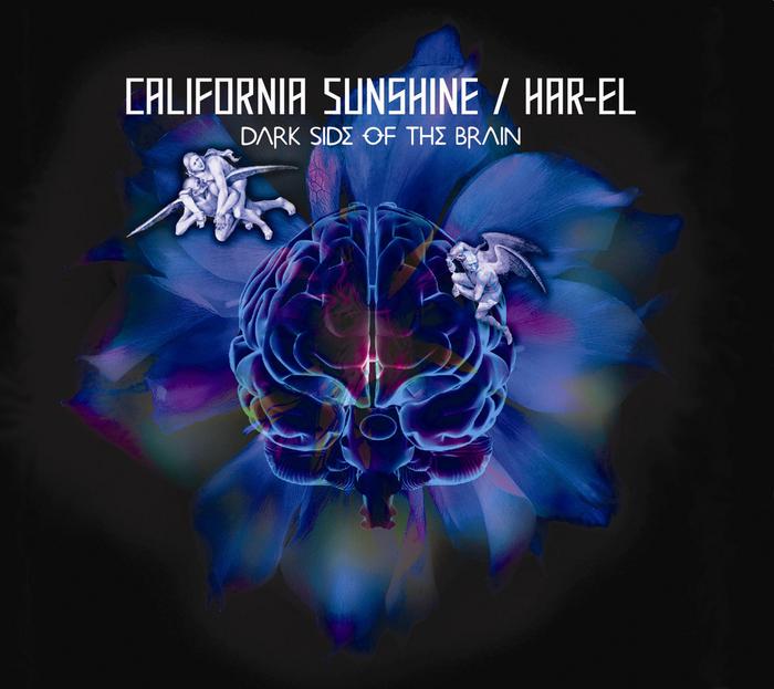 CALIFORNIA SUNSHINE - Dark Side Of The Brain