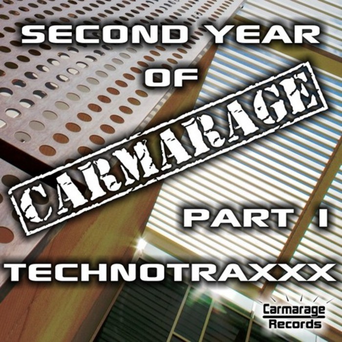 VARIOUS - Second Year Of Carmarage (part 1)