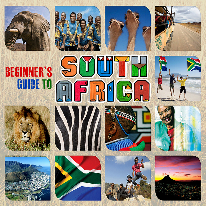 VARIOUS - Beginner's Guide To South Africa