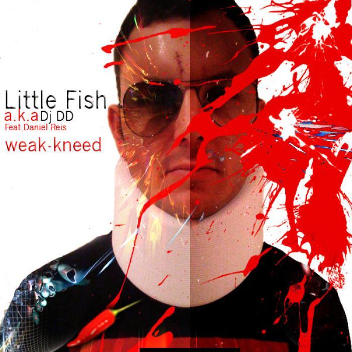 LITTLE FISH aka DJ DD/MAESTRO DANIEL REIS & MARCELO MEDEIROS - Weak-Kneed