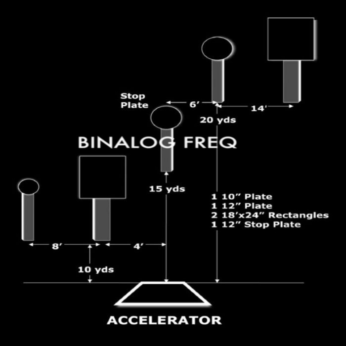 BINALOG FREQ - Accelerator (remastered)