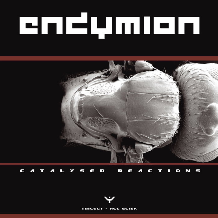 ENDYMION - Catalysed Reactions (Part 2)