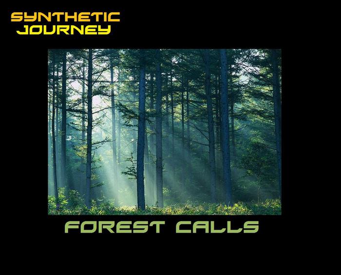 SYNTHETIC JOURNEY - Forest Calls