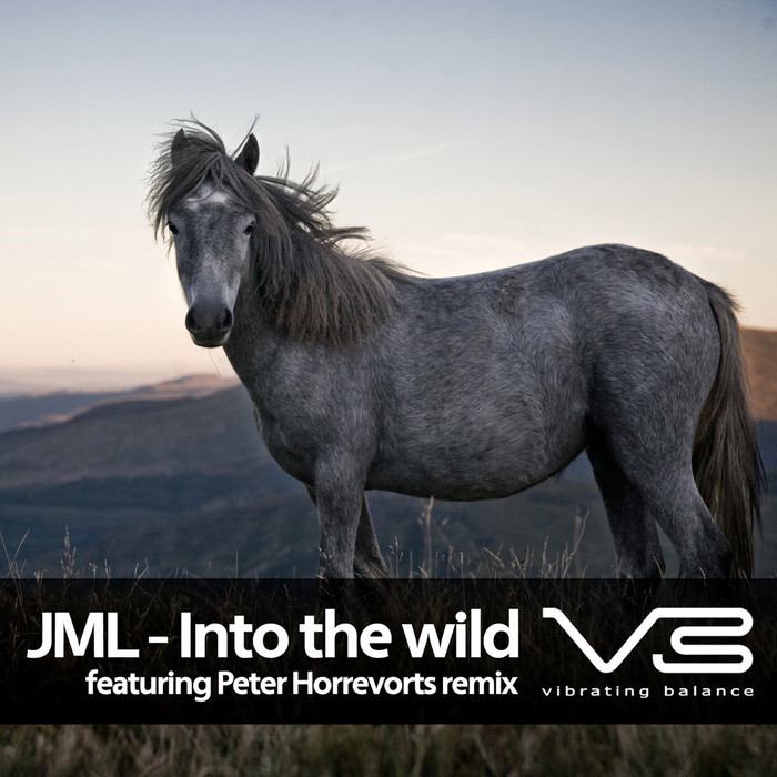 JML - Into The Wild