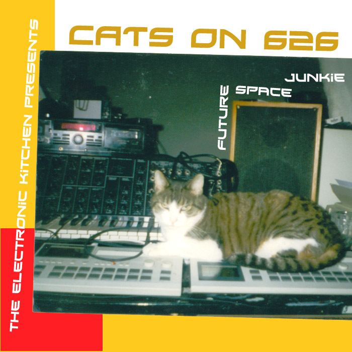 FUTURE SPACE JUNKIE - Cats On 626