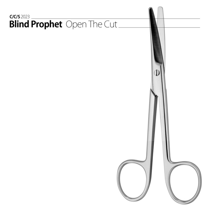 BLIND PROPHET - Open The Cut