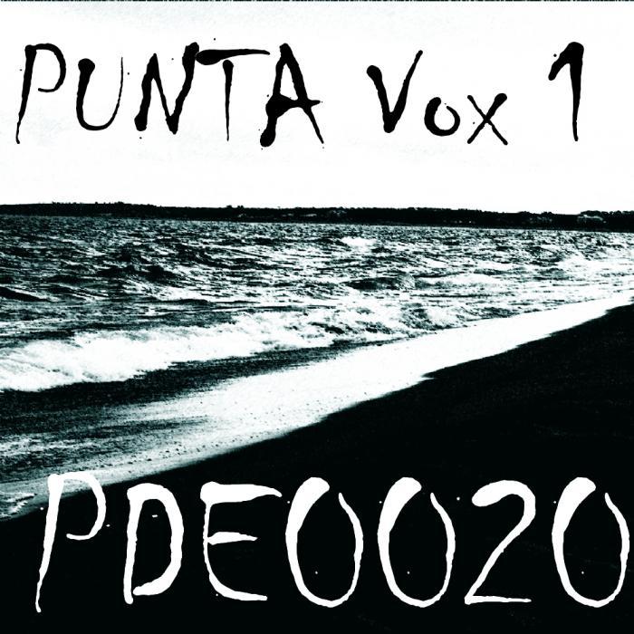 VARIOUS - Punta Vox 01