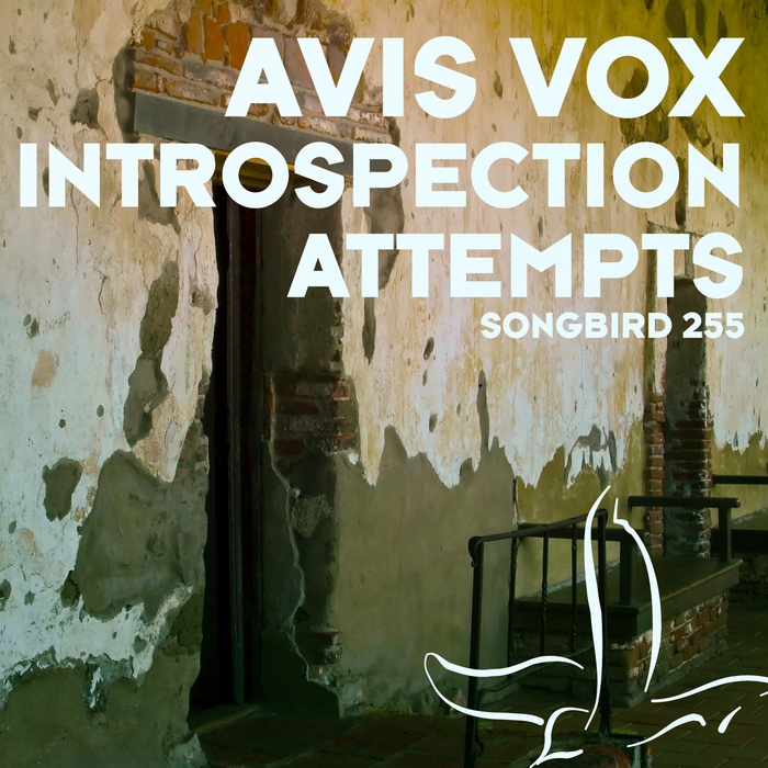 AVIS VOX - Introspection Attempts