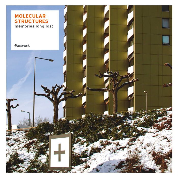 MOLECULAR STRUCTURES/VARIOUS - Memories Long Lost (Basswerk CD 6)