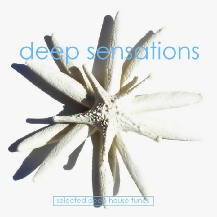 VARIOUS - Deep Sensations Vol 1: Selected Deep House Tunes