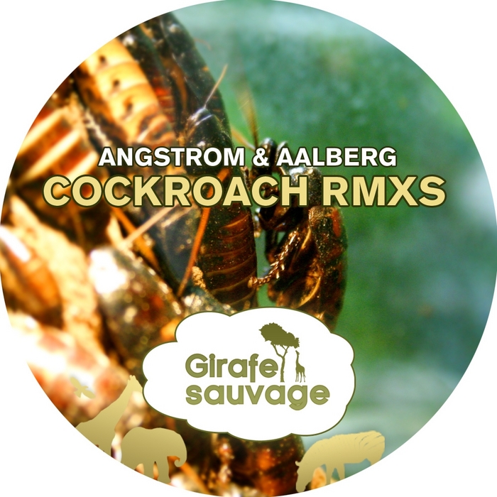 ANGSTROM & AALBERG - Cockroach (remixes)