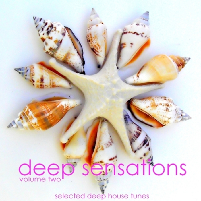 VARIOUS - Deep Sensations Vol 2 (Selected Deep House Tunes)