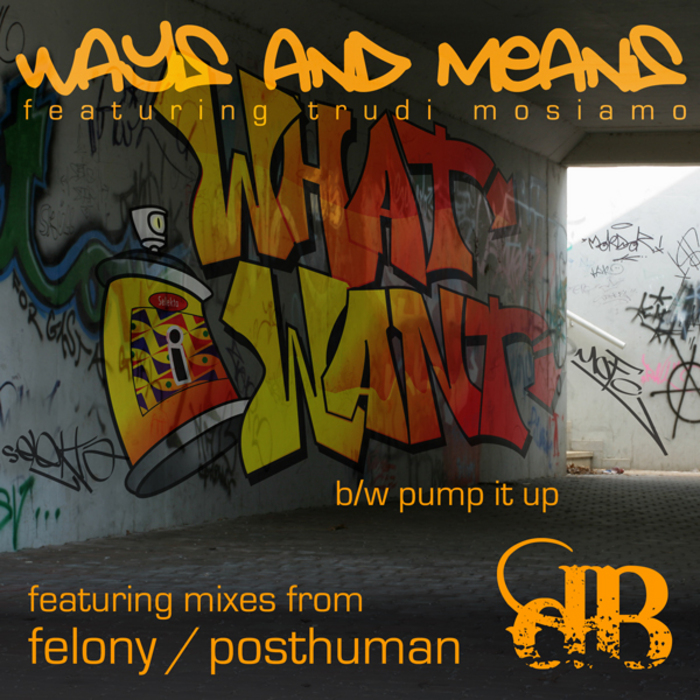 WAYS & MEANS feat TRUDIE MOSIAMO - What I Want