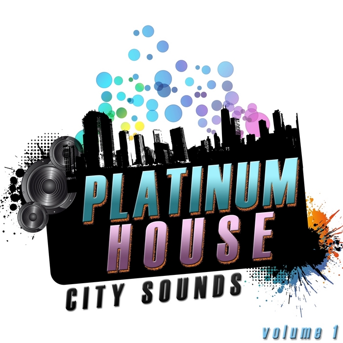 VARIOUS - Platinum House Volume 1
