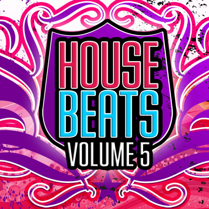 VARIOUS - House Beats: Vol 5