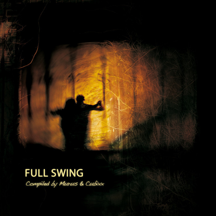 VARIOUS - Full Swing