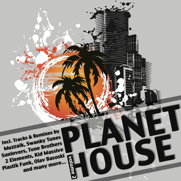 VARIOUS - Planet House: Vol 2