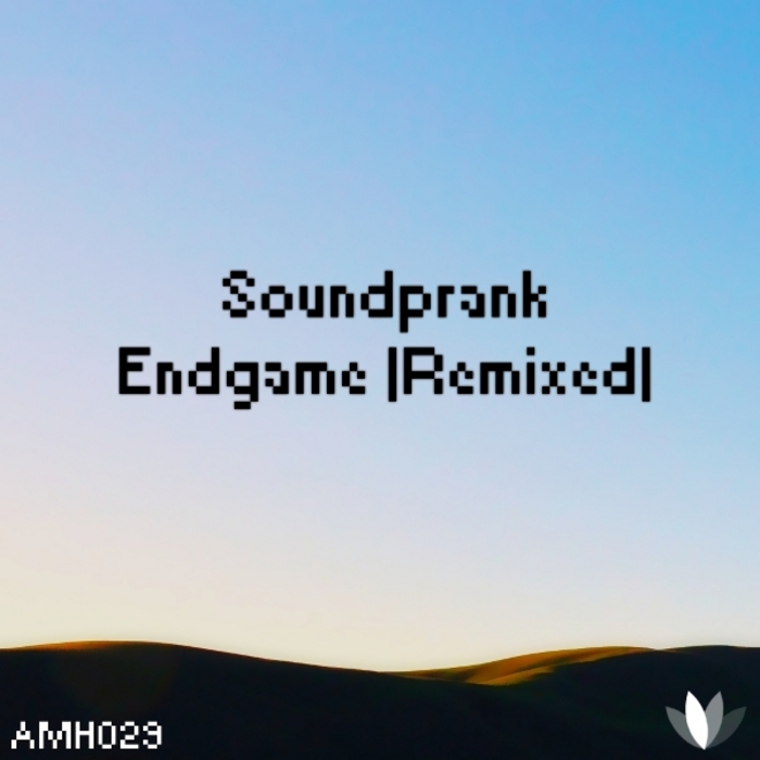 SOUNDPRANK - Endgame (Remixed)