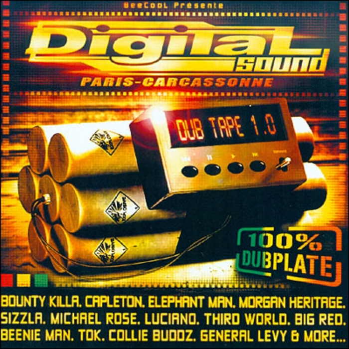 VARIOUS - Digital Sound Dub Tape 1.0 (100% Dubplate)