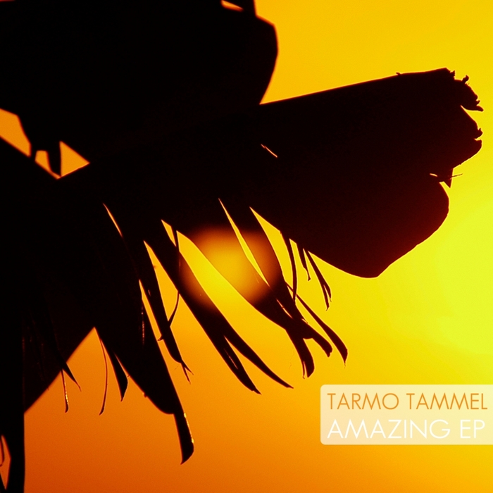 TARMO TAMMEL - Amazing EP