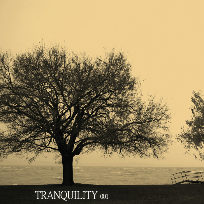 VARIOUS - Tranquility 001