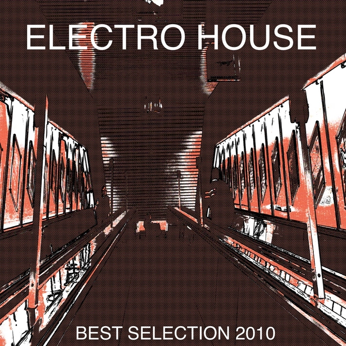VARIOUS - Electro House Best Selection 2010