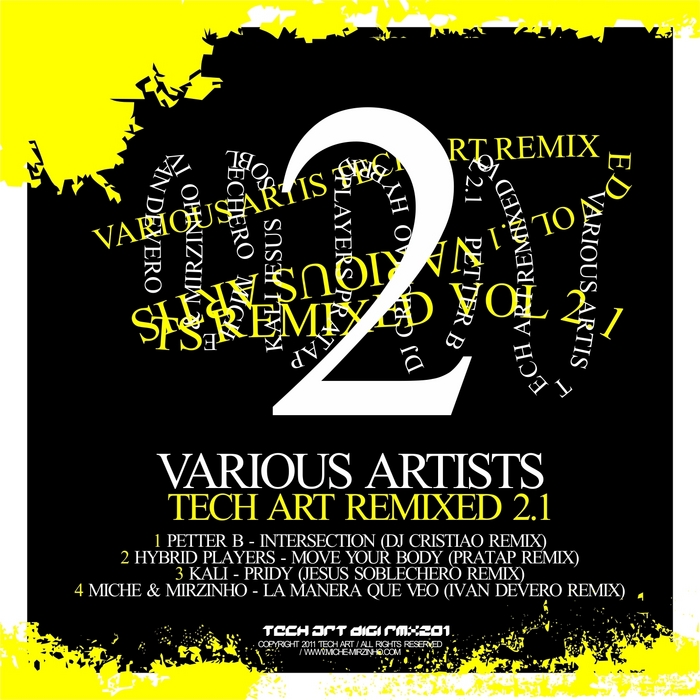 PETTER B/HYBRID PLAYERS/KALI/MICHE & MIRZINHO - Tech Art Remixed Vol 2 1