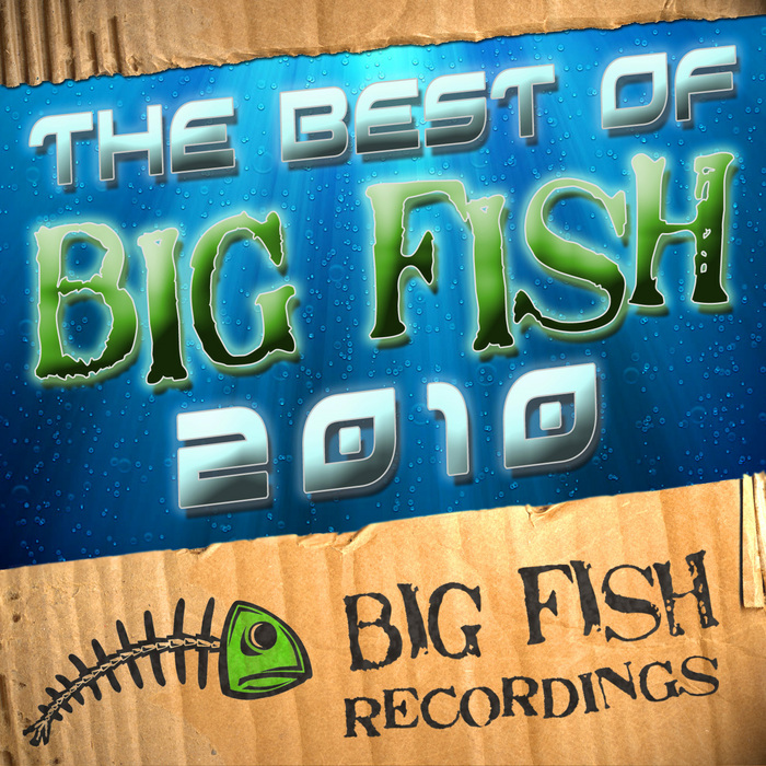 HIRSHEE & LAZY RICH/VARIOUS - The Best Of Big Fish 2010 (unmixed tracks)