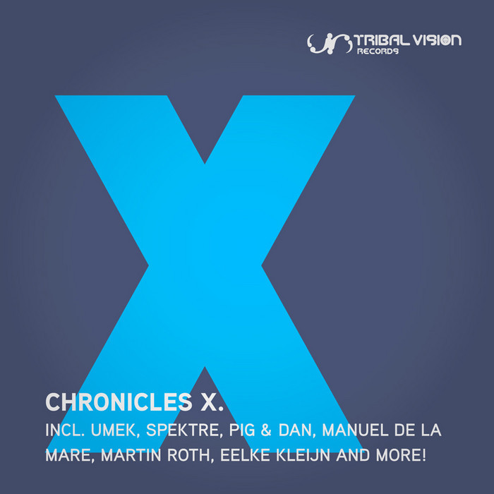 VARIOUS - Chronicles X (unmixed tracks)