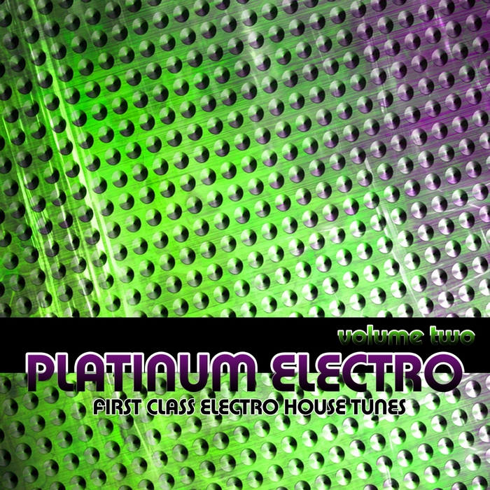 VARIOUS - Platinum Electro: Vol 2 (First Class Electro House Tunes)