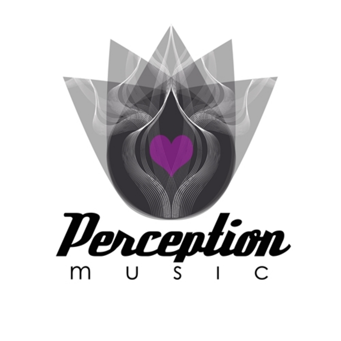 VARIOUS - Perception Music Vol 1