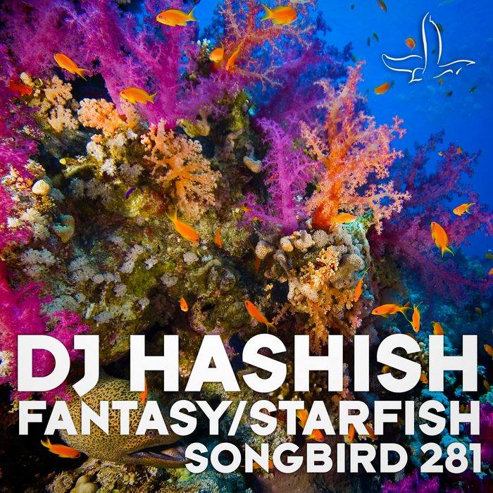 DJ HASHISH - Fantasy