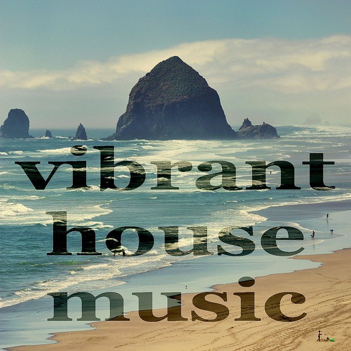 VARIOUS - Vibrant House Music (Deeper Minitech Compilation)