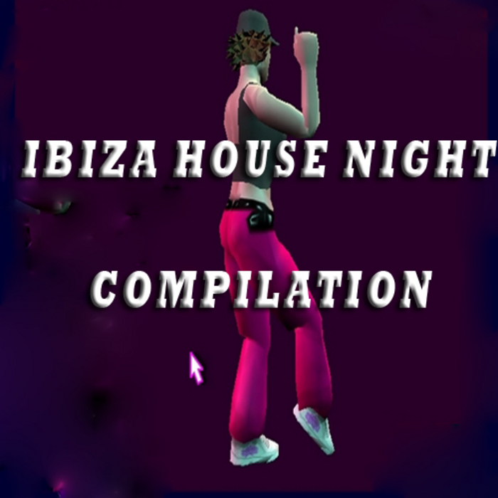 VARIOUS - Ibiza House Night