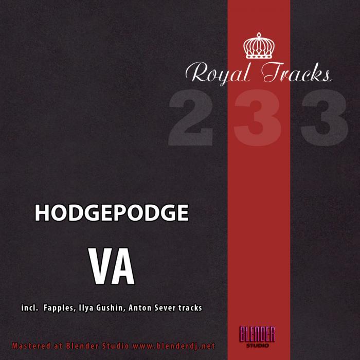 VARIOUS - Hodgepodge