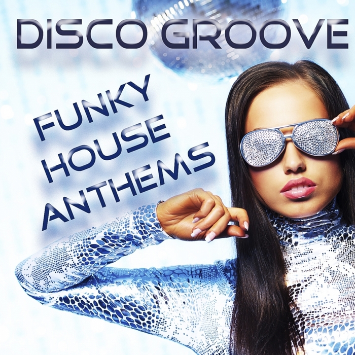 LOVE ASSASSINS/VARIOUS - Disco Groove: Funky House Anthems (mixed by Love Assassins)