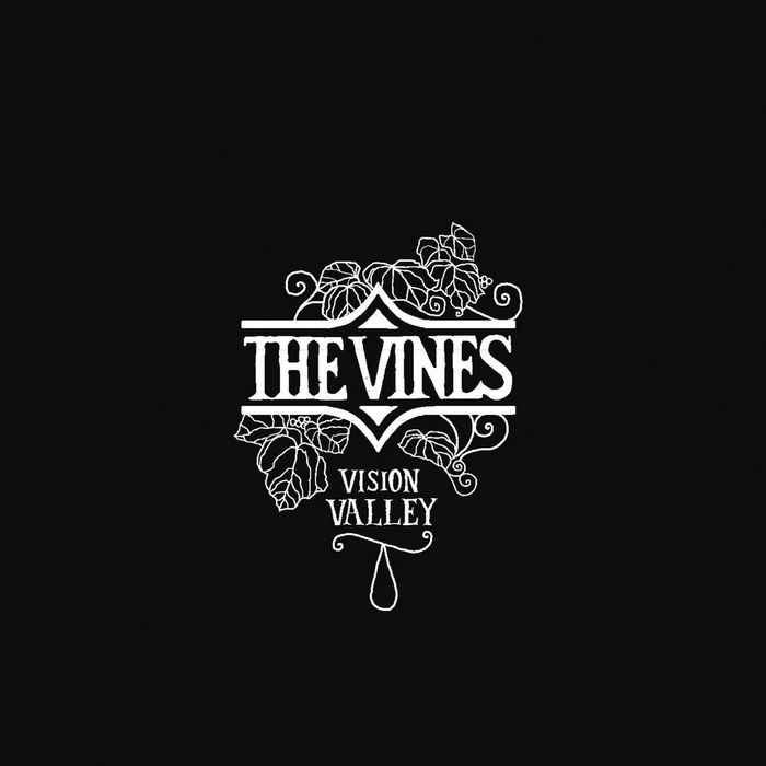 THE VINES - Vision Valley