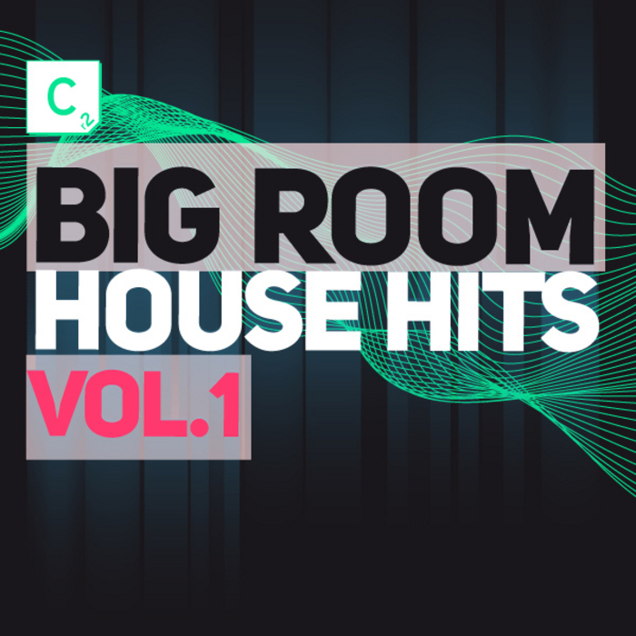 Биг рум. Хит Хаус. Обложка big Room House. Big Room Dance сборник. House hits mix