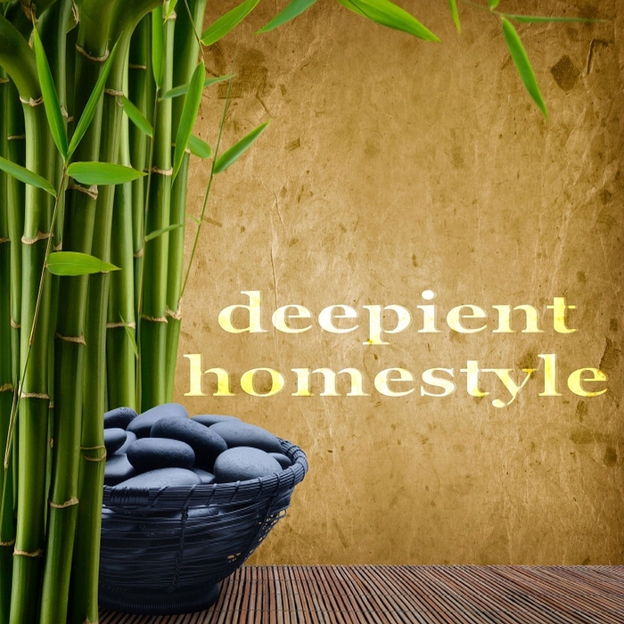 VARIOUS - Deepient Homestyle (Inspiring Lounge House Music)