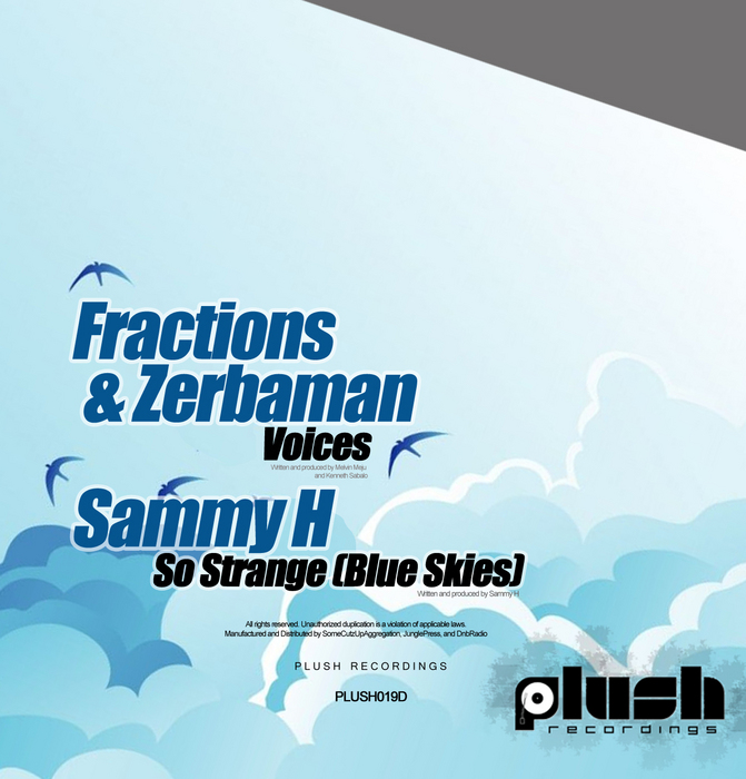 FRACTIONS & ZERBAMAN/SAMMY H - Voices