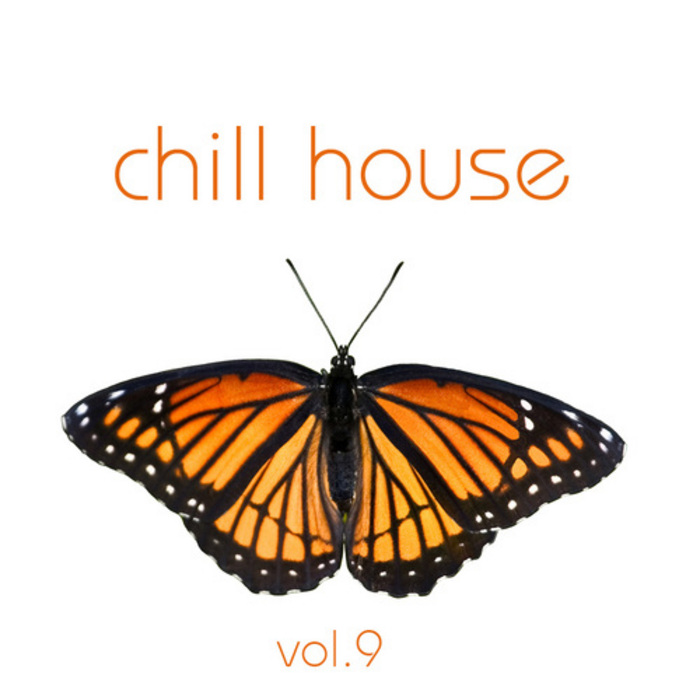 VARIOUS - Chill House Vol 9