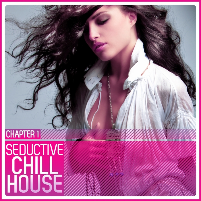 VARIOUS - Seductive Chill House Chapter 1