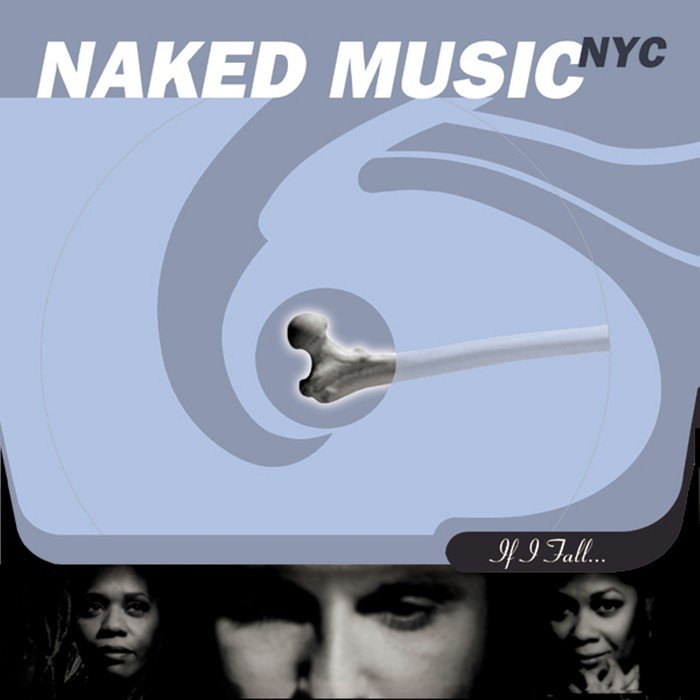 If I Fall By Naked Music NYC On MP WAV FLAC AIFF ALAC At Juno Download