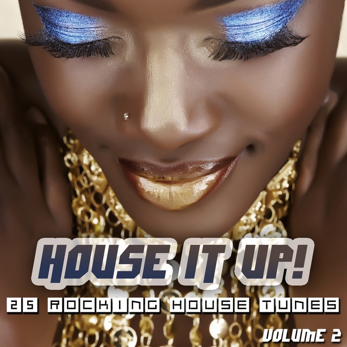 VARIOUS - House It Up Vol 2