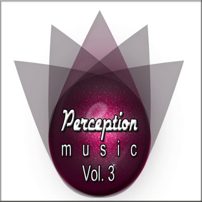 VARIOUS - Perception Music Vol 3