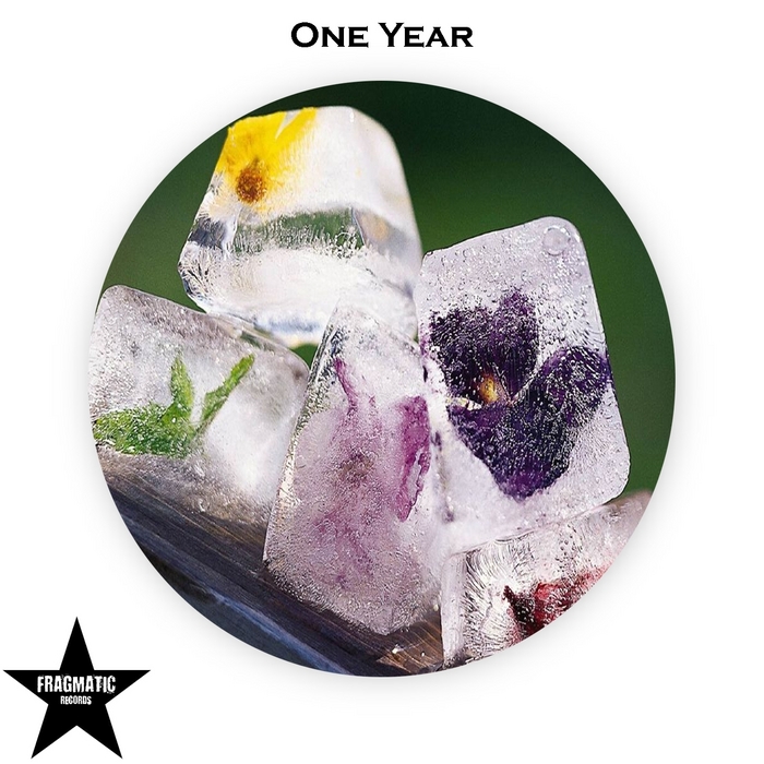 VARIOUS - One Year
